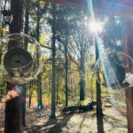 Menemukan Ketenteraman dalam Ruang Diam Sehari-hari